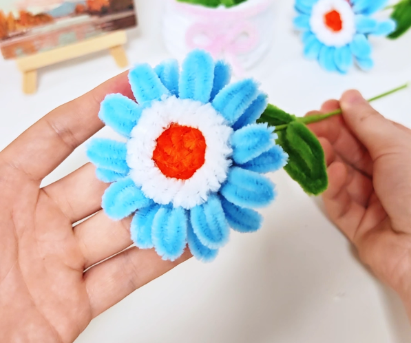 Blue & White Zinnia