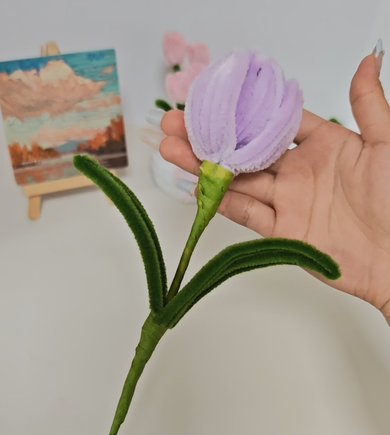 Purple Tulip